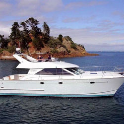 Cheap and high quality 8ft (m) fishing boat/yacht