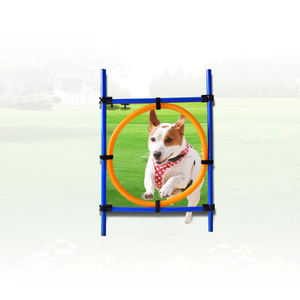 second hand dog agility equipment