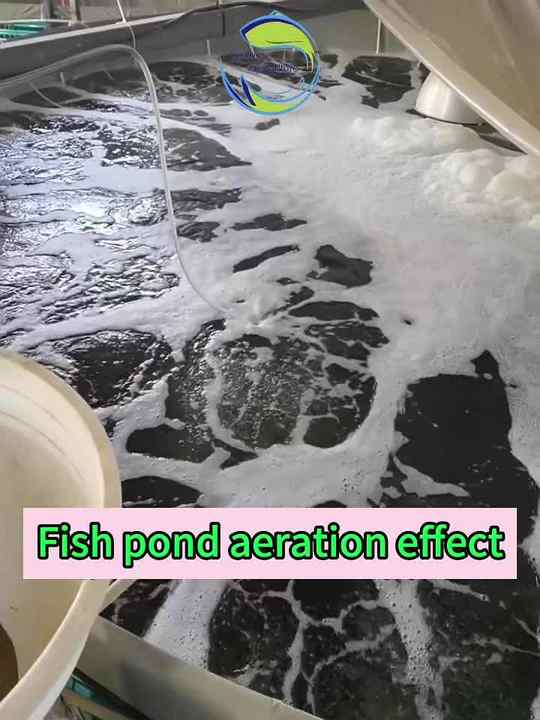Pond Aeration System Roots Type Air Blower Aerator Pump Fish Farming ...