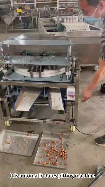 Industrial Olive Cherry Seed Pitting Removing Machine Dates Plum Pitter ...