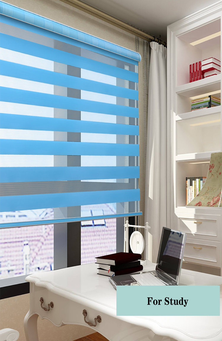China window zebra blinds for home
