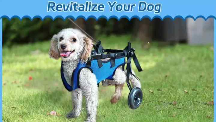 Buy PRO Dog Wheelchair For Back Legs Dog Cart Is Easy Adjustable