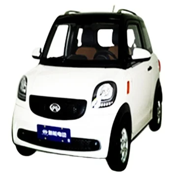 Богатый H6 Новый электрический автомобиль 50 км/ч с 72 в 100 А/ч свинцово-кислотная батарея для городского использования