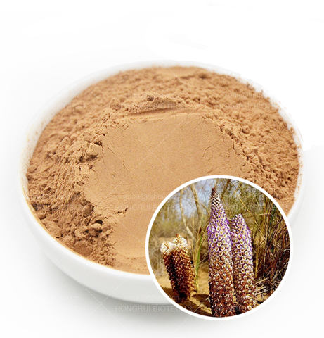 优质散装药材肉苁蓉粉肉苁蓉浸膏粉