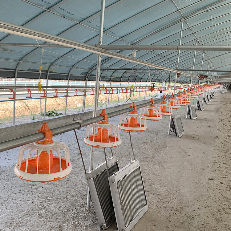 750w Poultry Farm Equipment 380v Chicken Drinking pan feeding system