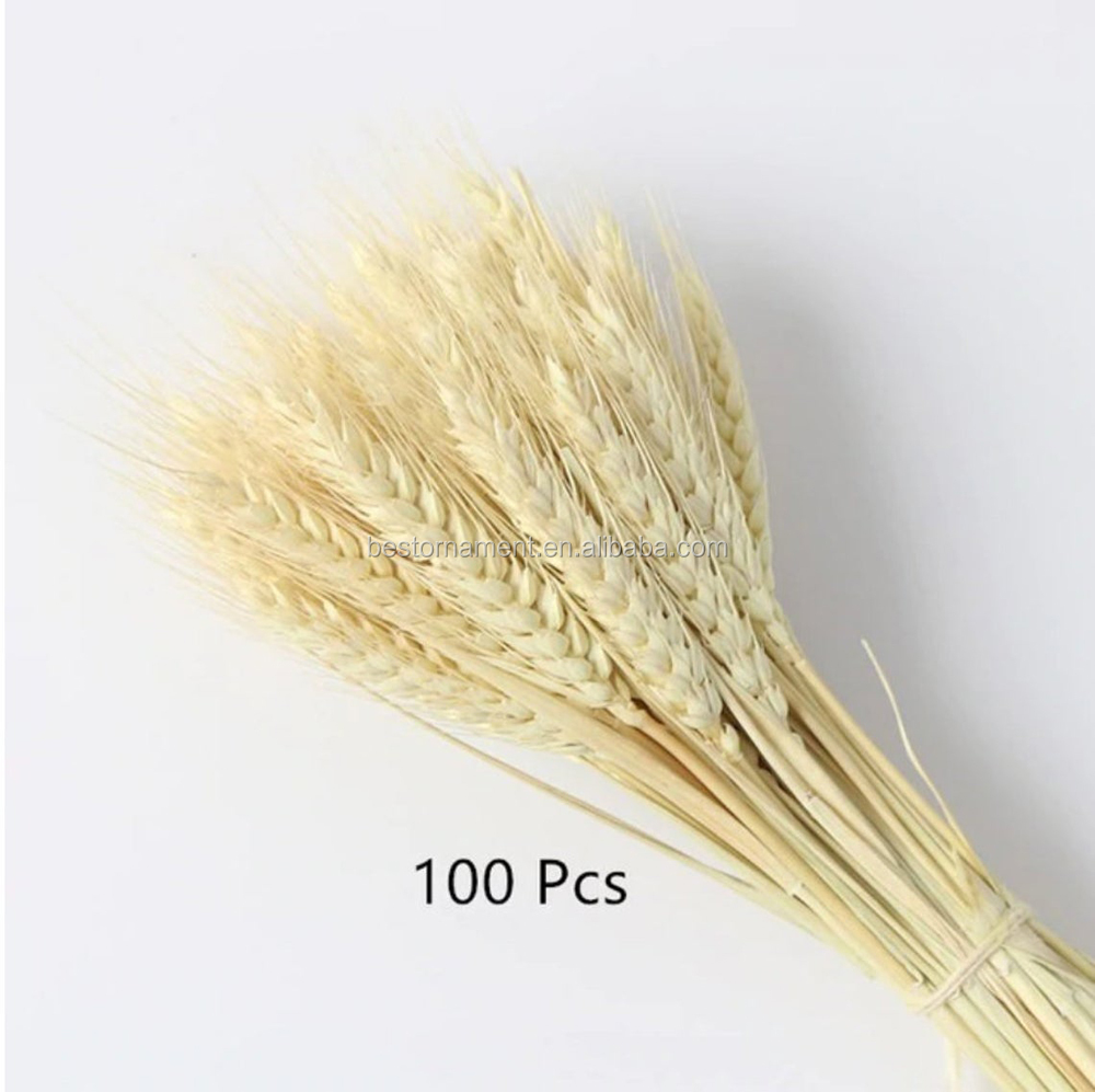 100Pcs/lot Real Natural Wheat Ear Flower Bouquets Wedding Bouquet Dried Flowers Decor