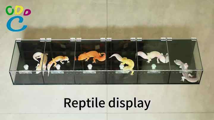 Customize 2025 Acrylic Pet Cage 3 Layers Displays for Expo Classic ...