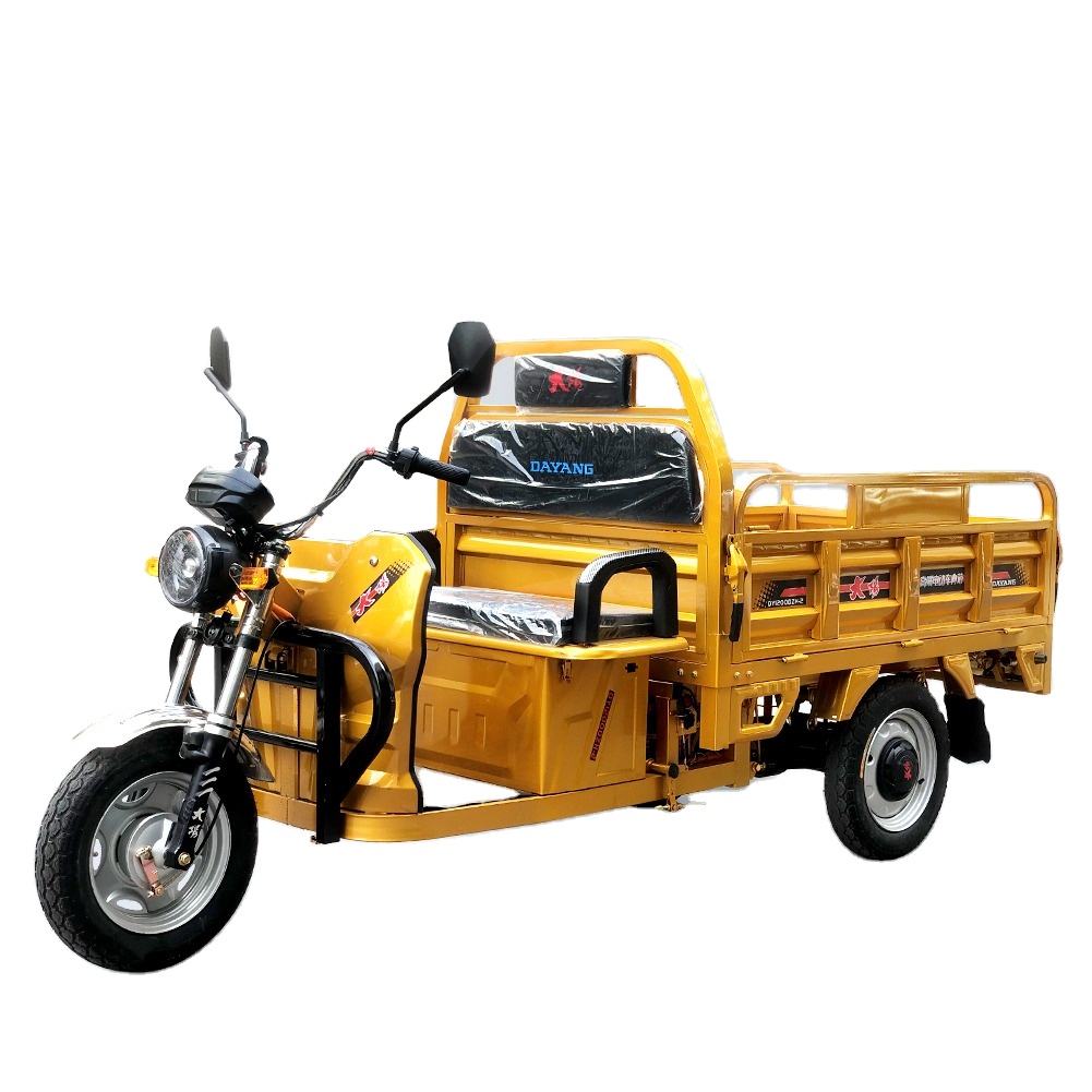 Mobility Electric Vehicle  DY-160-1 Electric Tricycles Electric Cargo Tricycle Electric motorcycle DAYANG factory