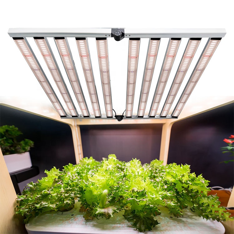 Meijiu 2021 Design F10 1000w 10 Strip Uv Ir Samsung Lm301b Led Grow Lights Meiju Led Grow Light Strip Buy Lm301b Strips Led Grow Light 1000w Grow Light 10 12 Stripe Meijiu