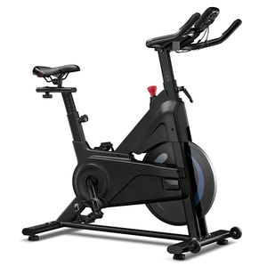 life gear exercise cycle