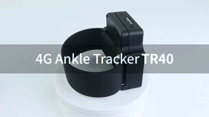 Prisoner Electronic Monitoring Device - Real-Time Tracker