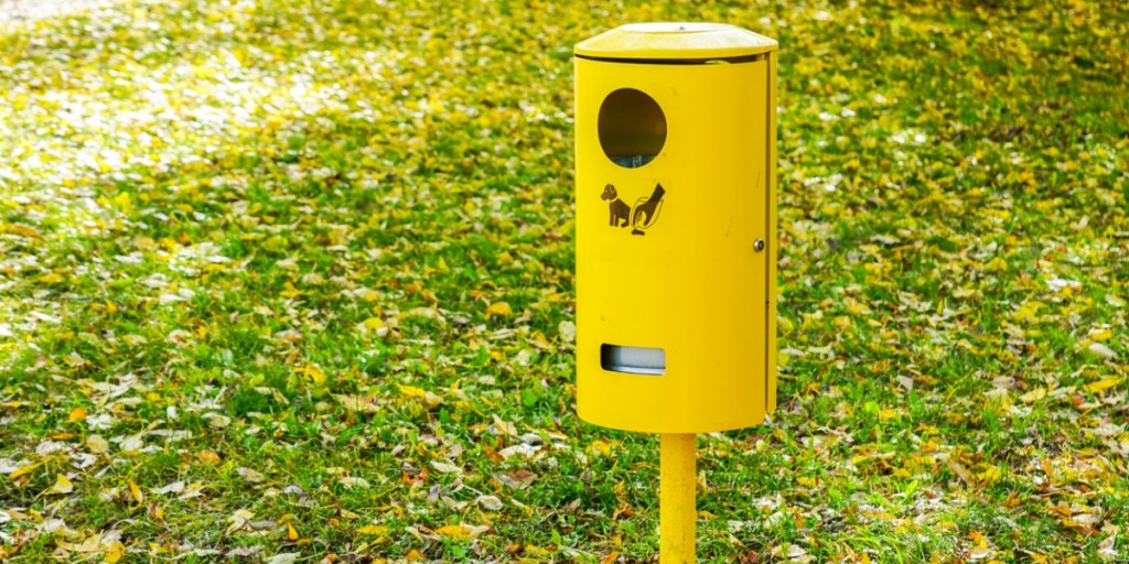 Pet waste station in a park