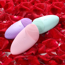 USB Charging Sonic Electric Silicone Facial Face Cleansing Brush