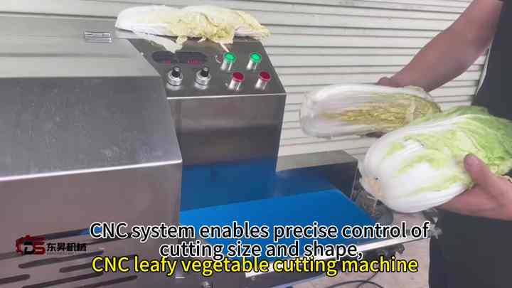 Automatic HMI Variable Speed Controlled Vegetable Cutting Machine for ...