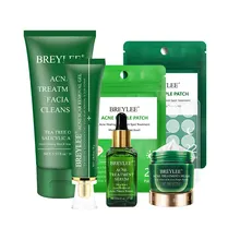 breylee acne treatment facial cleanser