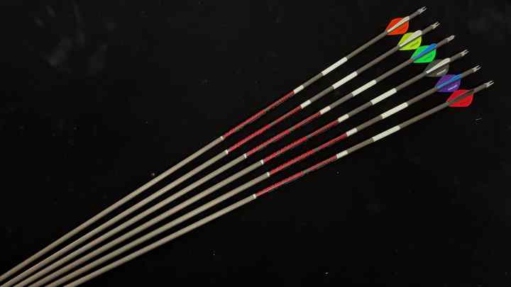 Flèches Carbone Pur 30'' Spine 340 - Lot De 6 Ou 12, Pour Arc à Poulies Ou Longbow