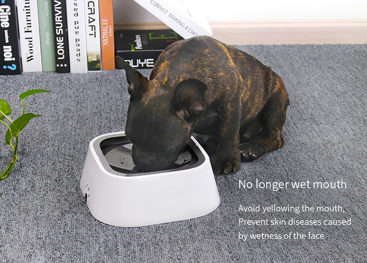 Road Refresher No Spill Dog Water Bowl Not Wet Mouth Wet Beard Pet Dog Bowl Water Splash Prevent Buoyant Force Bowl