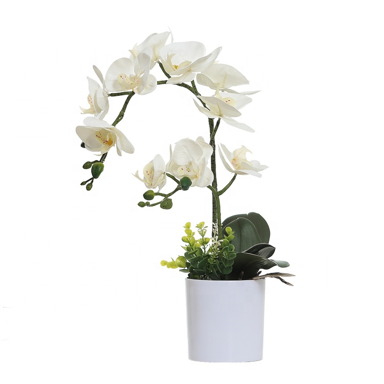 Оптовая продажа реальные сенсорные белый 7 бутонами, искусственная Орхидея Бабочка цветок в белом цвете горшок