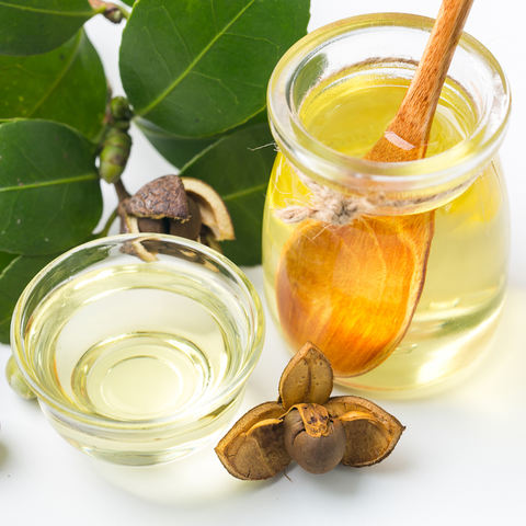 camellia oil, camellia oil direct from heze zonghoo jianyuan