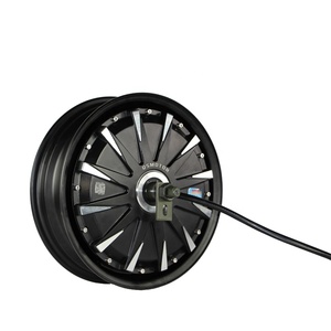 12 inch hub motor kit