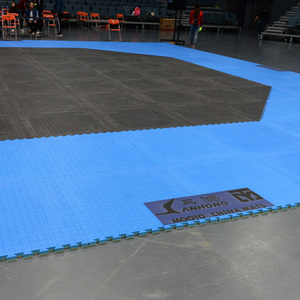Zebra Mats Mma Zebra Mats Mma Suppliers And Manufacturers At