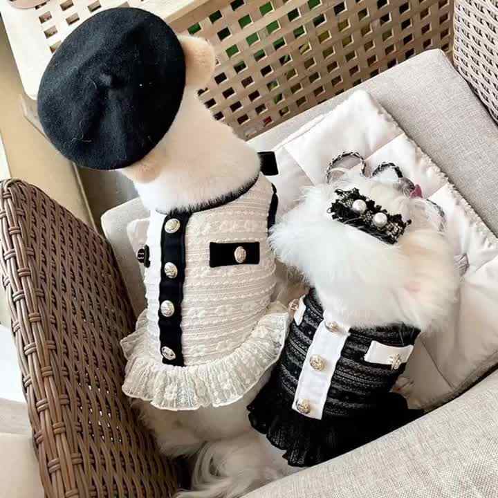 New Classical Black Summer Designer Dog Dresses for Small Dogs| Alibaba.com New Classical Black Summer Designer Dog Dresses for Small Dogs| Alibaba.com