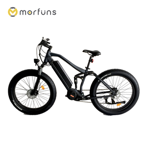 dapu ebike kit