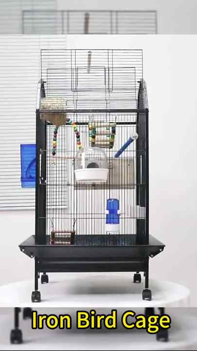 Fresh Look at Zmaker Large Bird Cage
