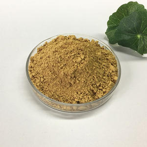工厂供应猴头菌浸膏粉猴头蘑菇粉末 iso9001 证书
