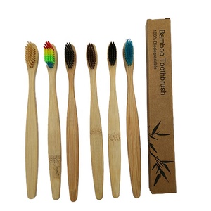 China Manufacturer Eco Organic Custom Color logo Biodegradable Charcoal Bamboo Toothbrush