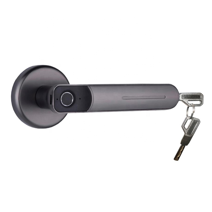 Дешевый простой умный биометрический дверной замок с отпечатком пальца для дома, спальни, деревянной двери