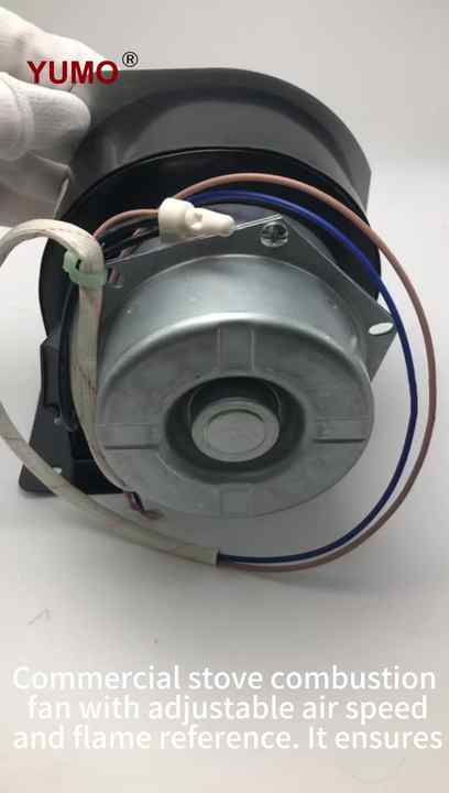 WGFJ-G006 Firegas Stove Blower Fan - Efficient Gas Oven Fan for