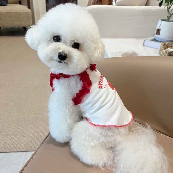 chinese dress ladies Dolly pet summer lace dress main image 0