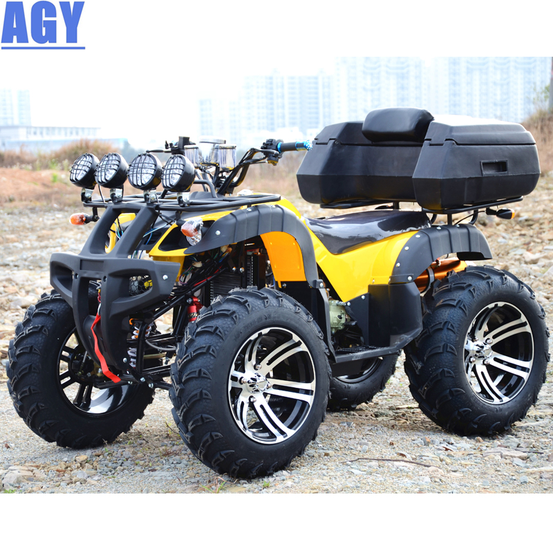 quad biking prices