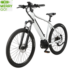 go green electric bike price