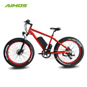 dahon electric conversion kit