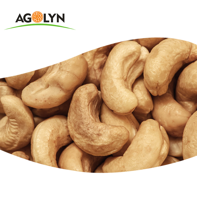 cashew kernel market