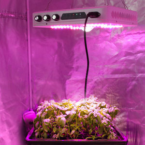 China Ultra Grow, China Ultra Grow Manufacturers and E27 24W 3528 SMD 200 LED Plant Grow Light Red+Blue