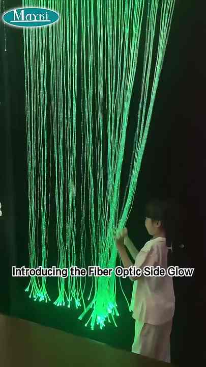 Rgb Color Changing Led Fiber Optic Light Curtain For Sensory Room