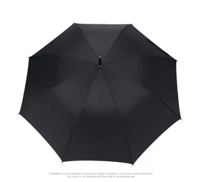 umbrella online lowest price