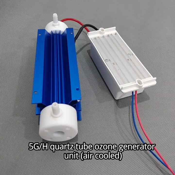 DGOzone Factory Price 10G New Quartz Tube Ozone Generator Ozonizer for ...