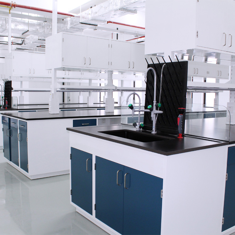 Biologic Laboratory Work Benches Adjustable Lab Bench Science Lab Work Bench Table