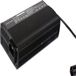 Amplamente utilizado-150W/300W carro elétrico carregador de bateria para automóvel