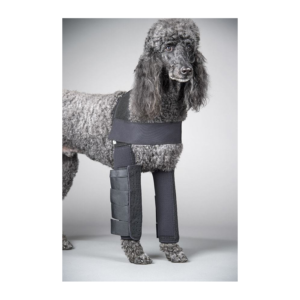 dog apparel manufacturers