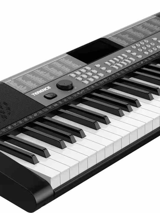 Terence SP611 Chinese Piano - 61 Key Educational Keyboard