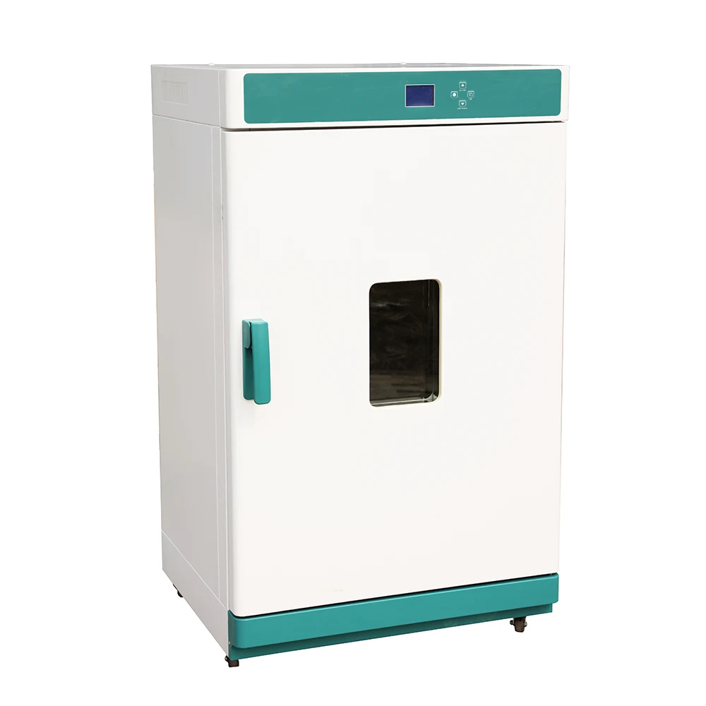 WGLL-230BE 230L High quality large industrial laboratory forced air convection drying oven