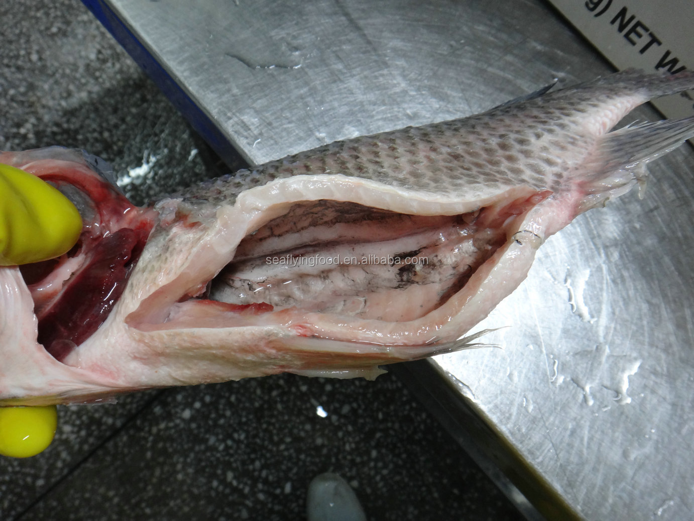 冷冻罗非鱼gs - buy tilapia fish,tilapia,tilapia fish product on