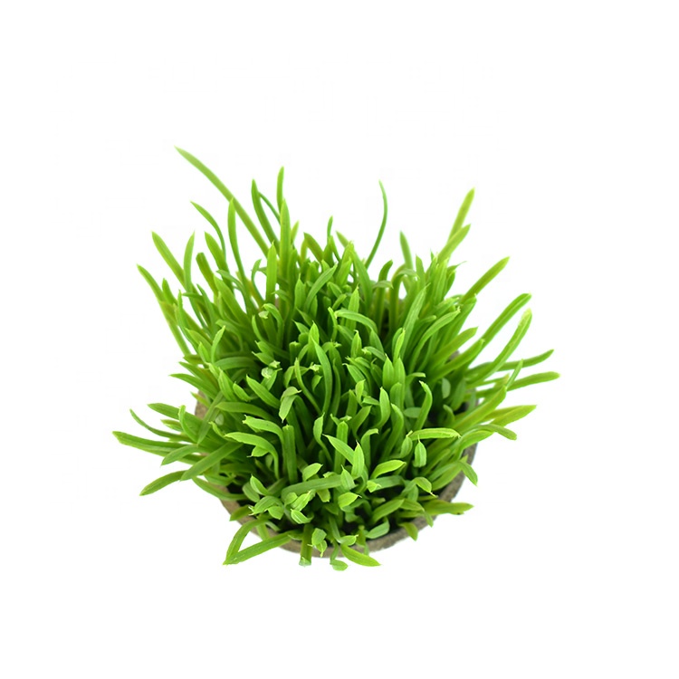 室内水泥盆栽绿色塑料人造迷你草植物盆栽盆景盆景 - buy grass plant