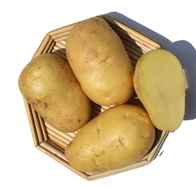 Картофель экспорт. Картошка в Дубаях.