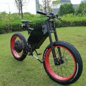 vector vortex ebike price